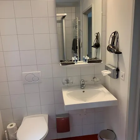 Hotell Tertianum Bellevue Park *